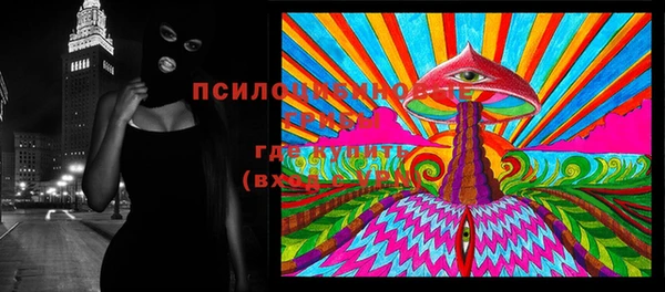 тгк Алексин